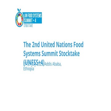 Briefing on the upcoming UNFSS +4 Stocktake