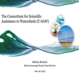 Missy Reckner, Kiski-Conemaugh Stre...