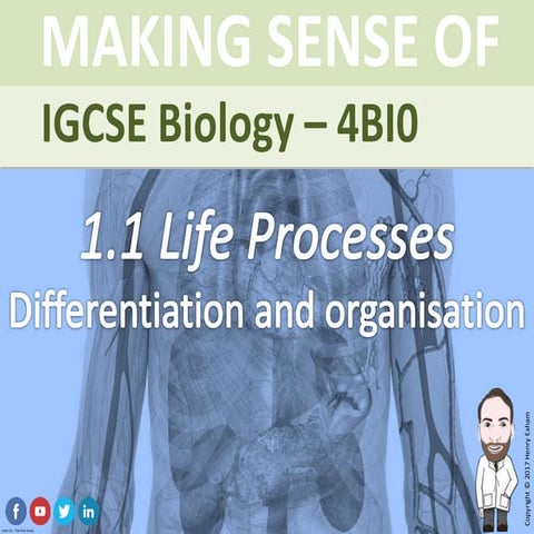 Mr Exham IGCSE - Cell Differentiation and Organisation