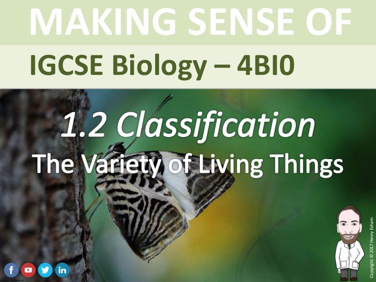 Mr exham igcse classification