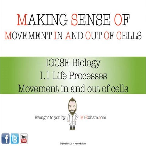 Mr Exham IGCSE - Movement In And Out Of Cells