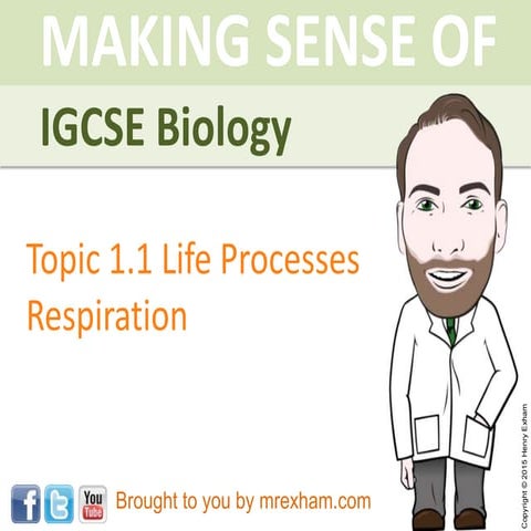 Mr Exham IGCSE  - Respiration