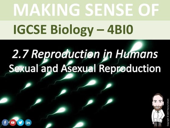 Mr Exham's Guide to writing up a Biology Practical Investigation | PPTX ...