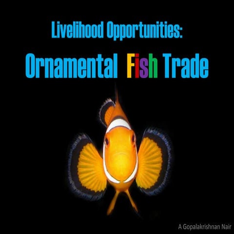 Agribusiness 360: Ornamental Fish Trade | PDF