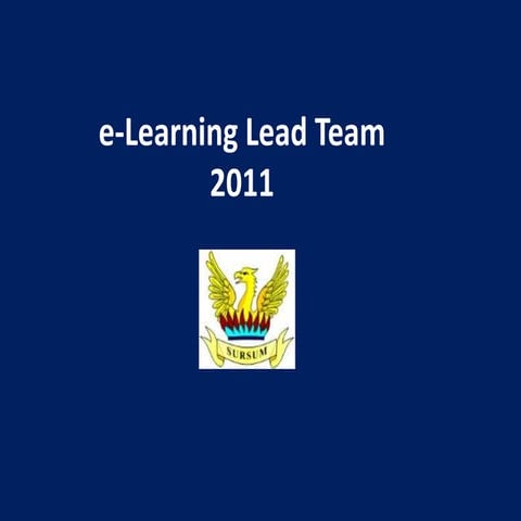 Mrgs e learning nov 2011 vln