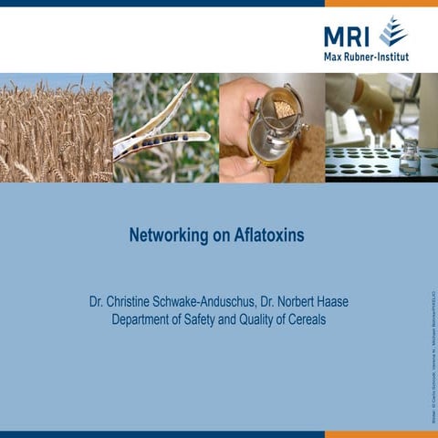 Networking on Aflatoxins 