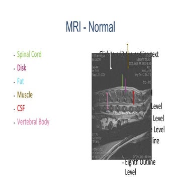 MR Images for Animal Referral