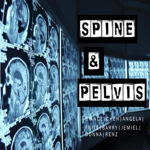 MRI-Spine/Pelvis_Biancz_Noveno