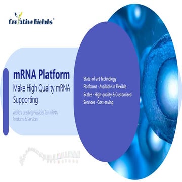 mRNA Platform | PDF