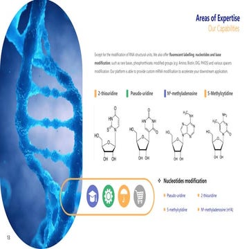 Nucleotides Modification | PDF