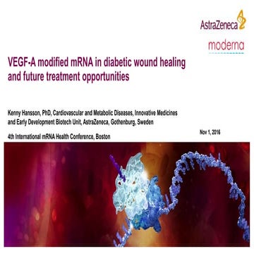 VEGF-A modified mRNA in diabetic wound healing and future treatment opportuni...