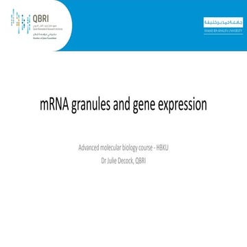 mRNA granules and gene expression