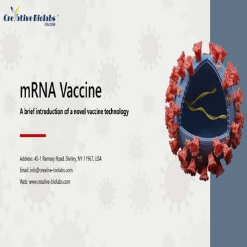 mRNA Vaccine - Creative Biolabs