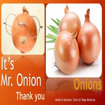 Mr onion june 25th
