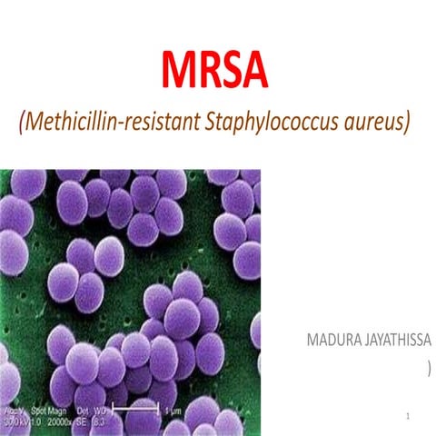 Mrsa
