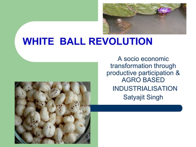 Whiteball revolution