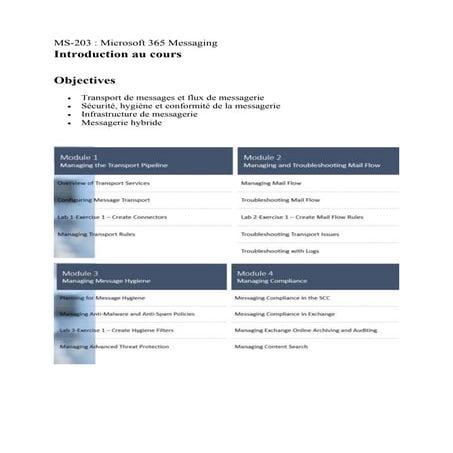 MS-203 Microsoft 365 Messaging Study Guide to prepare the certification ...