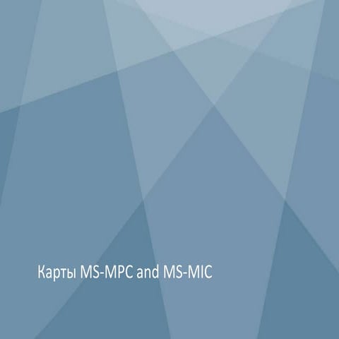 Multiservices MPCs ( MS-MPCs) and Multiservices MICs (MS-MICs) CGNAT