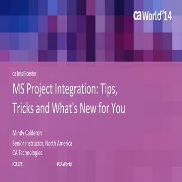 MS Project Integration: Tips, Tricks and What's New for You