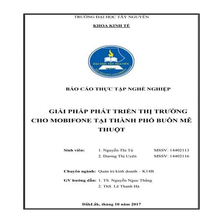Báo cáo thực tập: Giải pháp phát triển thị trường cho mobifone tại thành phố