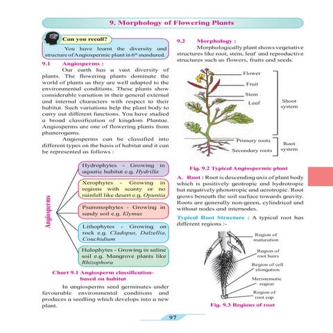 MSB Class 11 Biology-Ch9.pdf for NEET and State