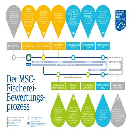 MSC Fischerei-Bewertungsprozess | PPT