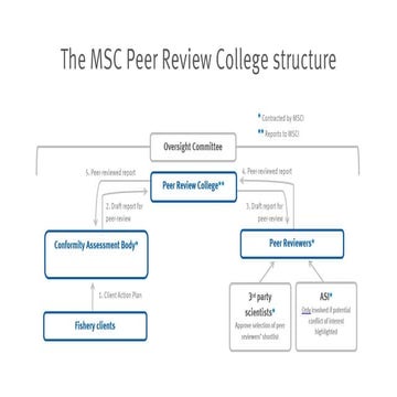 The MSC Peer Review College