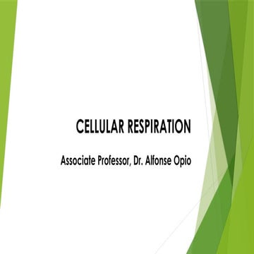 MSc_Cellular Respiration_students 3.pptx
