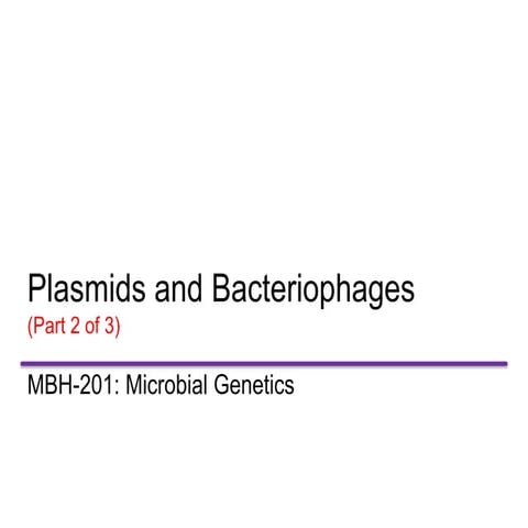 MSc mic gen plasmids bacteriophages