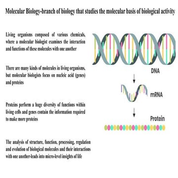 M Sc Molecular Biology Final-  project SV.pptx