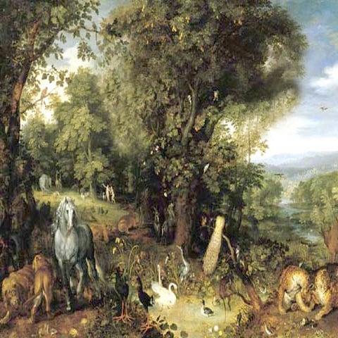 Introduction to zoological nomenclature and the ICZN