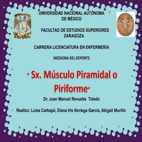 Músculo piramidal