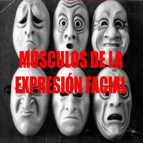 Músculos de la expresión facial