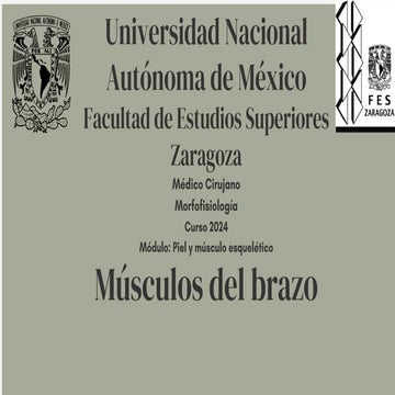 Músculos del brazo con su inervación, origen, inserción y función