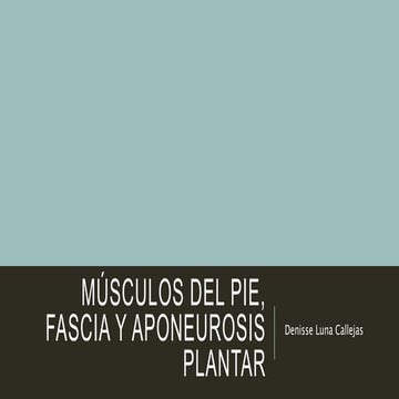 Músculos del pie, fascia y aponeurosis plantar