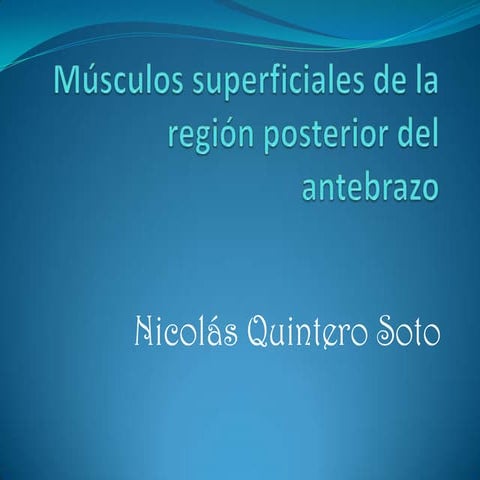Músculos superficiales de la región posterior del antebrazo