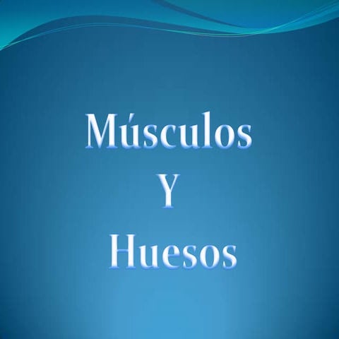 MúSculos Y Huesos de la masticacion