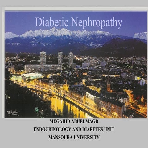 diabetic nephropathy- prof-megahed