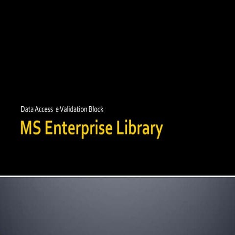 MS Enterprise Library
