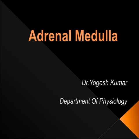 Adrenal medulla