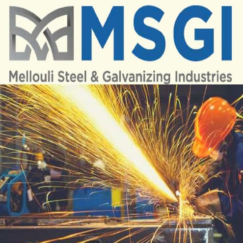 Msgi(fr) | PDF