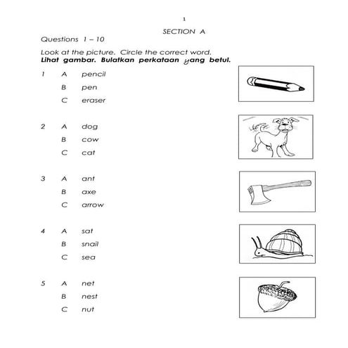 Ms kertas 1 bi  ppt tahun satu