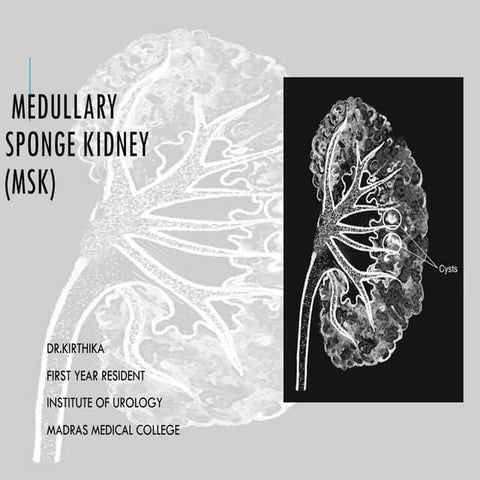 MSK FINAL PPT.pptx for mch Urology postgraduate | PPTX