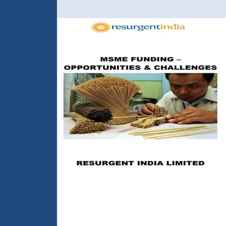 Micro Small and Medium Enterprise Funding - Opportunities and ...