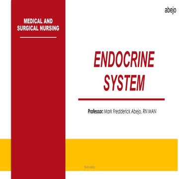 MSN Abejo Lecture - Endocrine Nursing.pdf