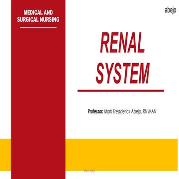 MSN Abejo Lecture - Renal GUT System.pdf