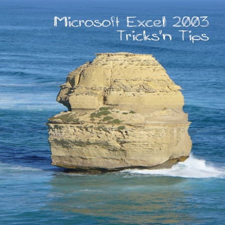 Mso excel 2003   tips & tricks