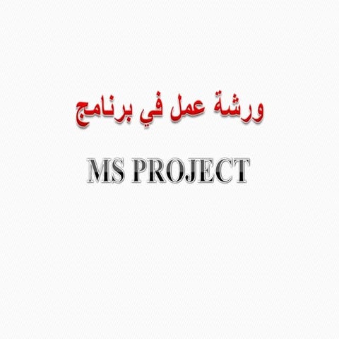 Ms project