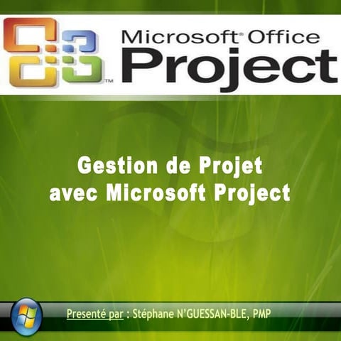 MS Project course | PDF