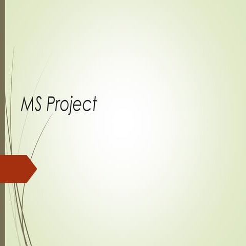 Ms project general introduction